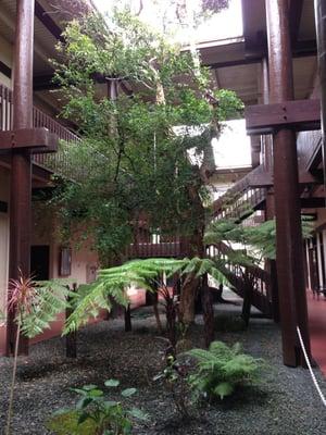 Atrium