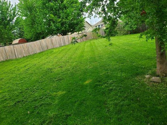 Lakeview Lawn & Landscape