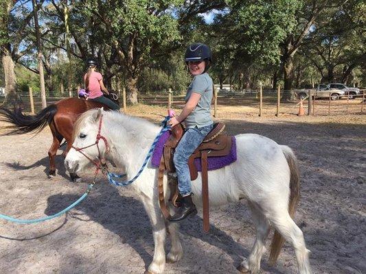 Madonna's Equestrian Academy