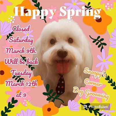 Snoopy's Corner Dog Grooming