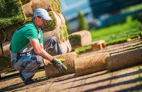 Medford Landscaping Pros