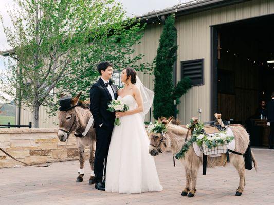 Spruce Mountain Events