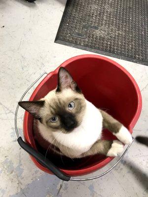 Farview Veterinary Hospital