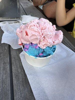 Bubble gum on top with cotton candy on the bottom