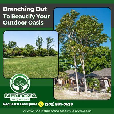 Mendoza Tree Service