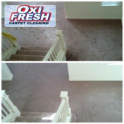 Oxi Fresh Carpet Cleaning