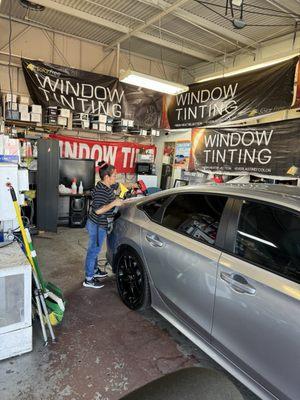 Lulu the bs window tinter