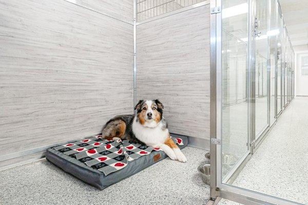 Emma Marie's Grooming & Daycare Dartmouth