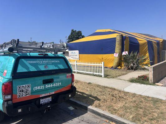 Long Beach Termite & Pest Control