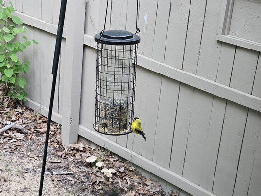 Huron County Nature Center
