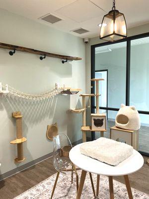 NEST Pet Retreat, Playcare and Spa