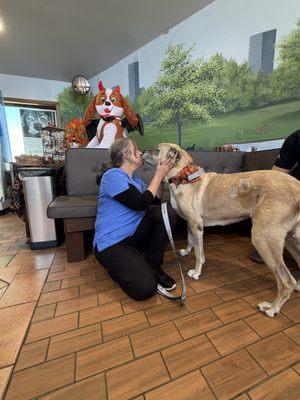 Copeland Veterinary Hospital