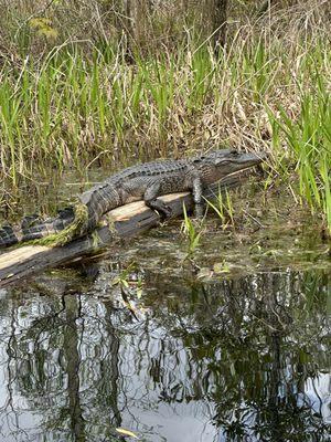 Outer Banks Kayak Adventures