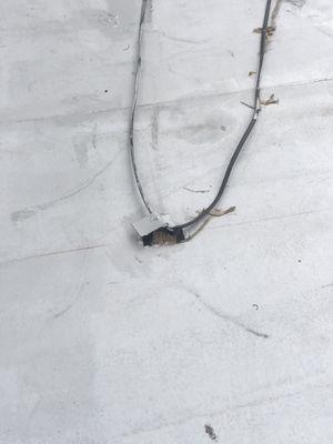 roof damage June 2025