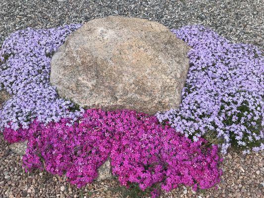 Fountain Branch Library