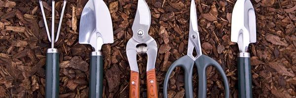 Escobedo's Gardening & Landscaping