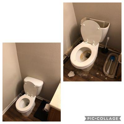 HollyWay Home Cleaning