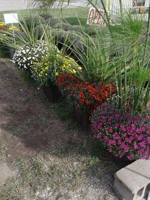 R&C Greenhouse & Produce