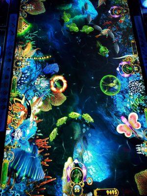 Tiger strike, one of our most popular fish tables