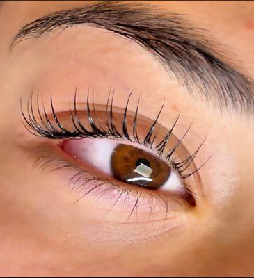 Korean Lash lift