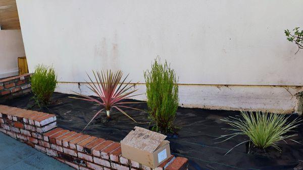 Elias Andres Landscaping