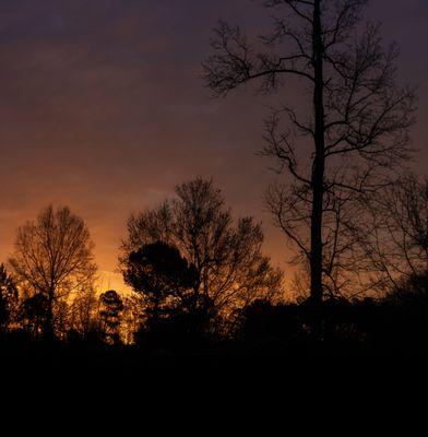 Guy J Sagi Photography