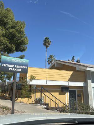 Villas Las Toronjas II