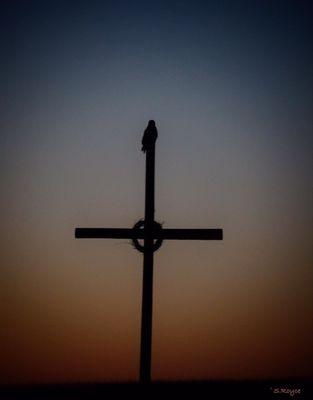 Fresh Life Church - Polson