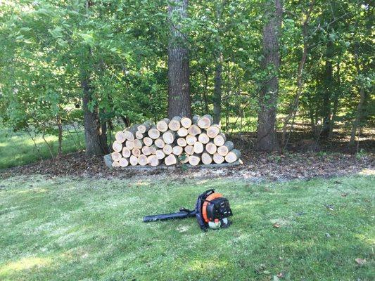 Rios Osorio's Services