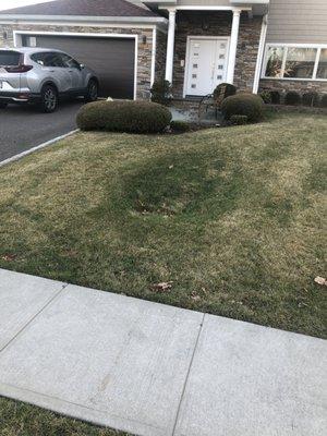 DG Custom Built Homes & Remodeling