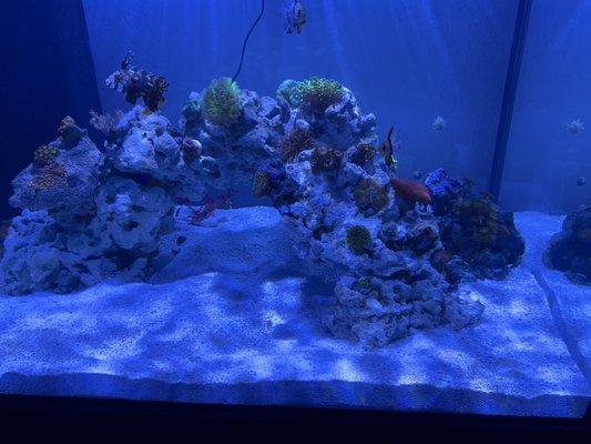 New (slightly used) tank