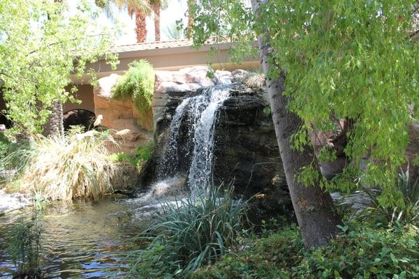 Lush and Beautiful Entrance to the Office