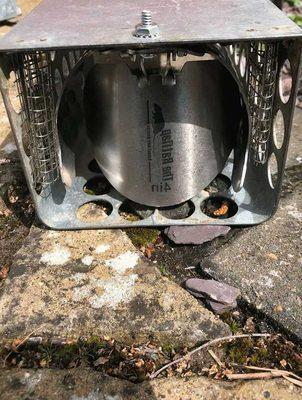 Brickell Pest Control