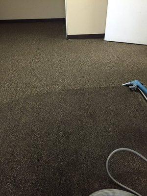 Jacobson's Carpet Cleaning