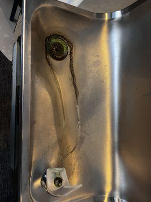 Standing water in fountain at location.