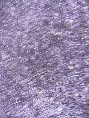 Anderson Ace Hardware