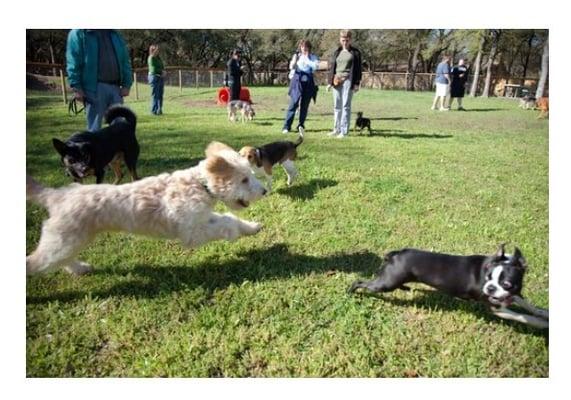 Old stage bark park.