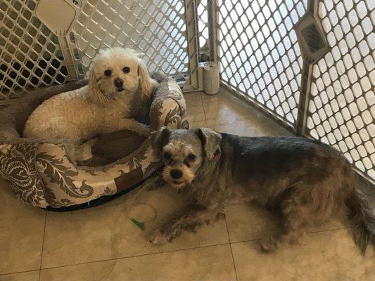 PAPEH treats their patients like VIPs. This one made a miraculous recovery!