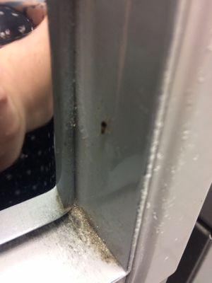 Went here yesterday for the first and last time. Bedbugs on the washers sooooo nasty