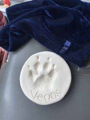 Hillcrest Animal Hospital