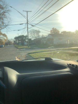 Bug smears and bird droppings