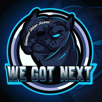 Buddha Marketing & Design