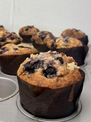 Wolf And Mermaid Enchanted Roasters