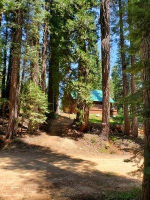 Front driveway from Circle Drive up to Cabin.