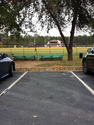 One of the four fields