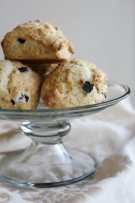 Blueberry Lemon Scones
