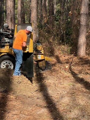 Harville Tree & Stump