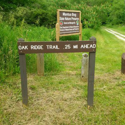 Mantua Bog State Nature Preserve