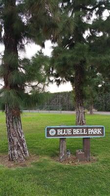 Bluebell Park