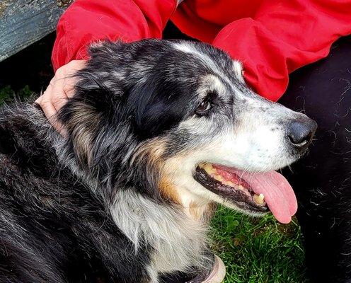 Veterinary Housecall Services